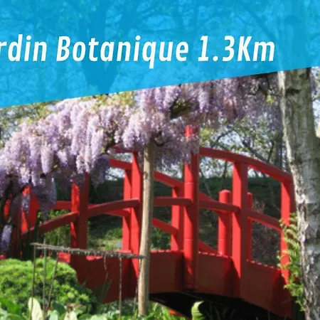 Apartamento Sainte Cath -1-bat- *